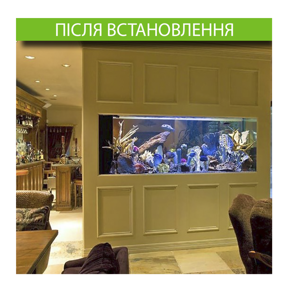 aqualike студія аквадизайну